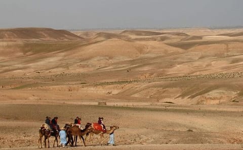 Private ATV Day Trip to Agafay Desert from Marrakech