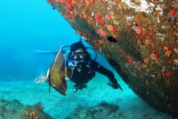 Diving (Baptism) 09:00 3