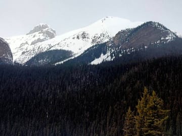 Lake Louise and Marble Canyon Icewalk Tour from Banff