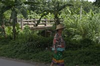 "BIKE 11" 1-Day road ride 90 km Samoeng Mountain Loop, Chiang mai 5