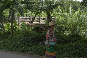 90 km Mountain Bike Tour of Samoeng Mountain Loop, Chiang Mai