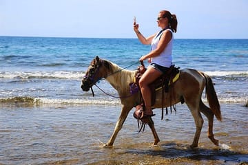 Horseback Riding and Beach Break in Flowers Bay, Roatán