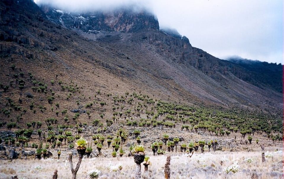 4 Days and 3 Nights Mount Kenya Tour