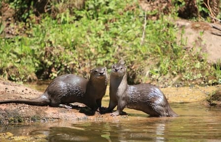 4x4 Adventure Tour of Yungas and El Rey National Park from Salta