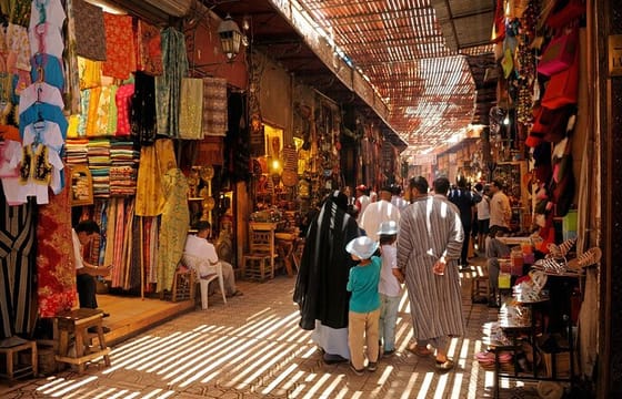 Half-Day Marrakech Highlights Private Guided Tour
