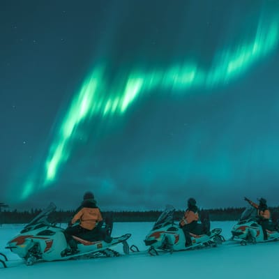 Northern Lights Electric Snowmobile Safari & Reindeer Experience in Rovaniemi