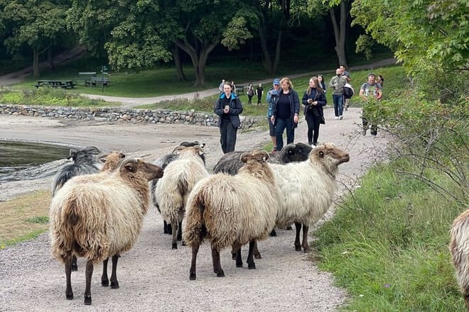 Oslo: 3 hour Island Hopping tour: Cottages, Ruins & Fjord Views photo 3