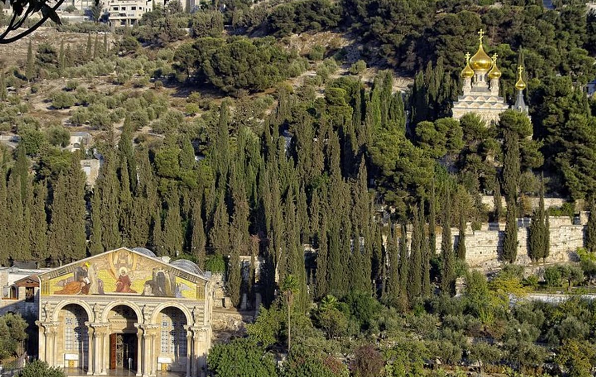 1-Night Private Jerusalem and Bethlehem Tour from Amman
