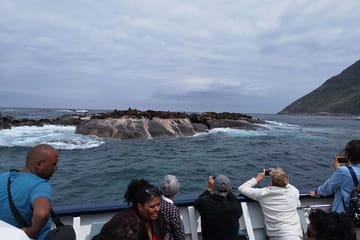Private City and Scenic Drive Tour in Cape Town