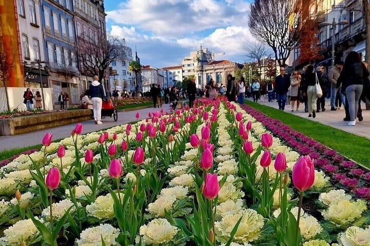 BRAGA E GUIMARÃES: Private Historic Tour from Porto
