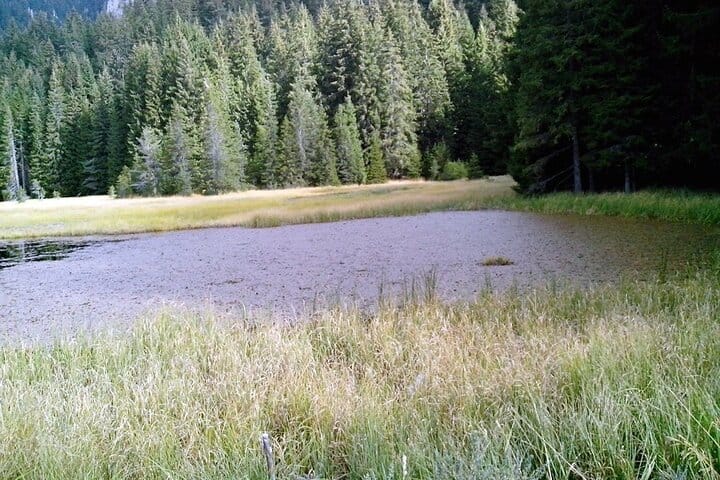 Privately Guided Tour around the Smolyan Lakes 2