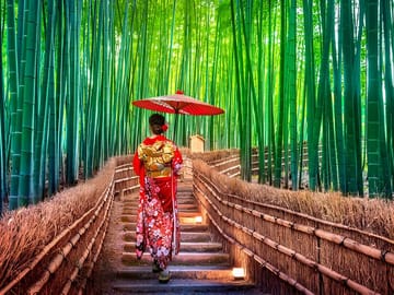 3 Days Private Osaka Kyoto and Nara Tour With English Driver