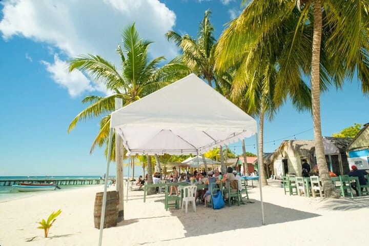 5 tours in 1 (Eco Farm/Horseback/City Tour/Buggy/Zipline)