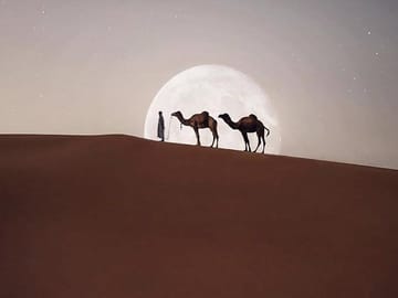 Five-Day Guided Tour from Casablanca to Ait Ben Haddou and Dades Valley