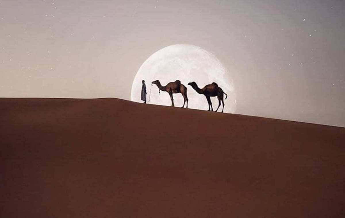 Casablanca : Hire a car with driver and licensed guide