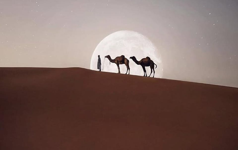 Five-Day Guided Tour from Casablanca to Ait Ben Haddou and Dades Valley