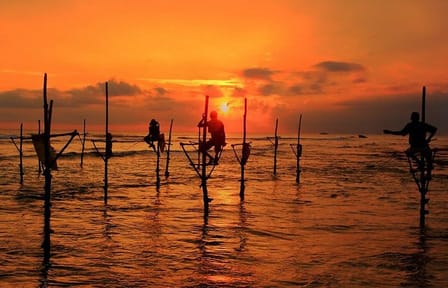 Galle Day Tour From Colombo