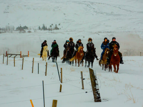 02C - Specialty of the Season, photo 2