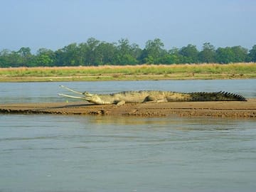 3-Day Jungle Safari Adventure in Chitwan National Park