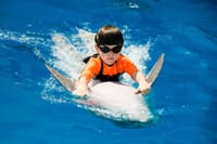 Premium 5 Minutes Dolphin Swimming Experience - Hurghada 8