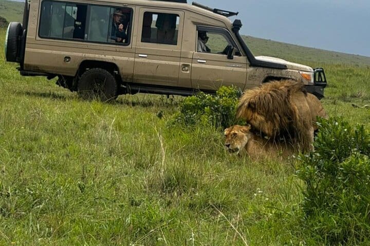 2-Day Masai Mara Safari with Game Drives