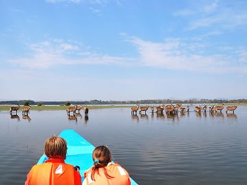 lake naivasha boat ride