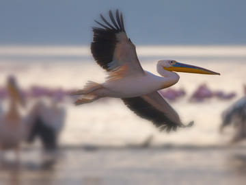 10-Day Exclusive Journey and Adventure in Tanzania
