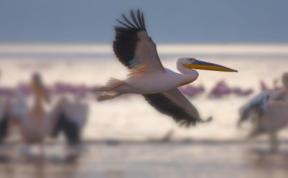 10-Day Exclusive Journey and Adventure in Tanzania
