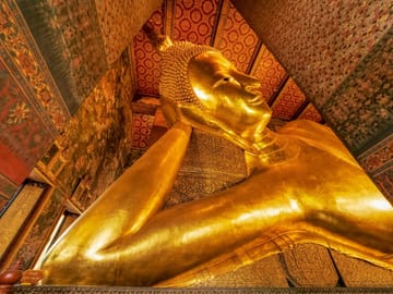 Wat Pho Evening Visit with Temple Cats