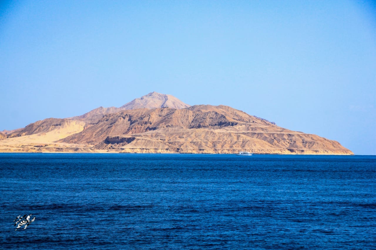 Tiran Island Snorkeling Boat Trip 7