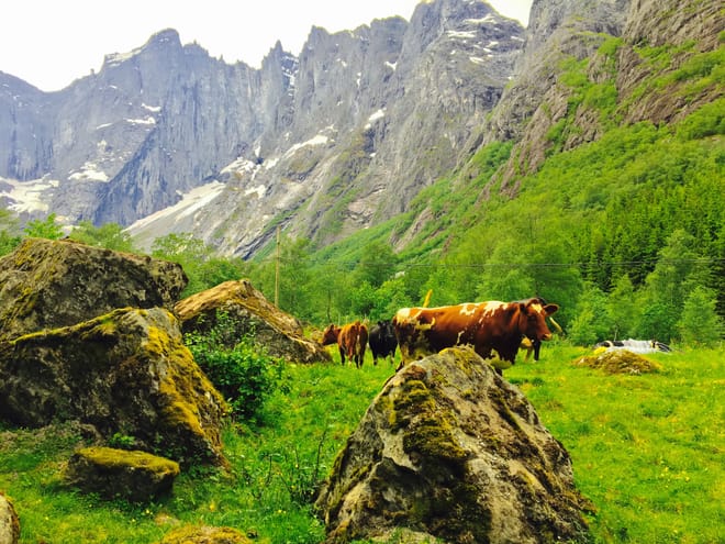 Things to do in Alesund
