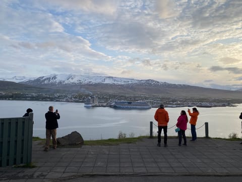 Goðafoss Waterfall & Whale Watching Tour from Akureyri, photo 4