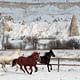Horse Safari on Cappadocia