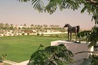 Horse Riding Session with Lunch and Spa at Dubai Polo & Equestrian Club 6