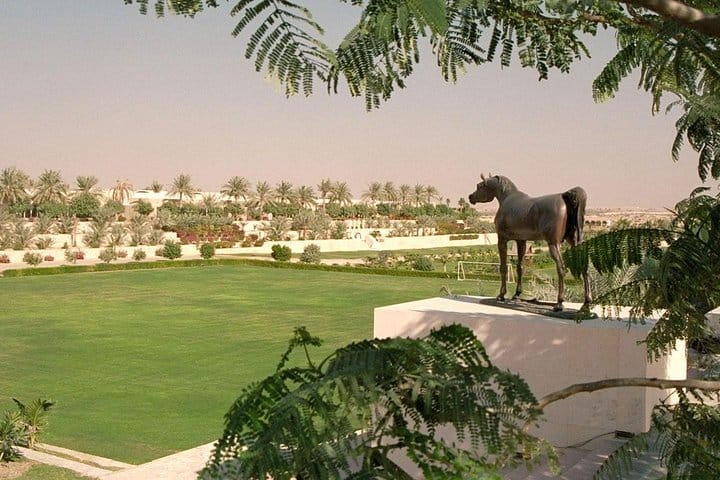 Horse Riding Session with Lunch and Spa at Dubai Polo & Equestrian Club 6