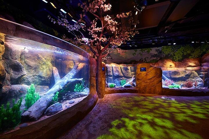 Legoland Japan & Sea Life: Nagoya Combo Admission Ticket