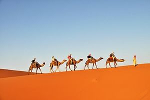 3-Day Tunisian Sahara Desert Camel Trek from Douz