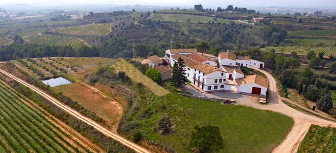 Visit to winery with wine tasting and grilled menu  