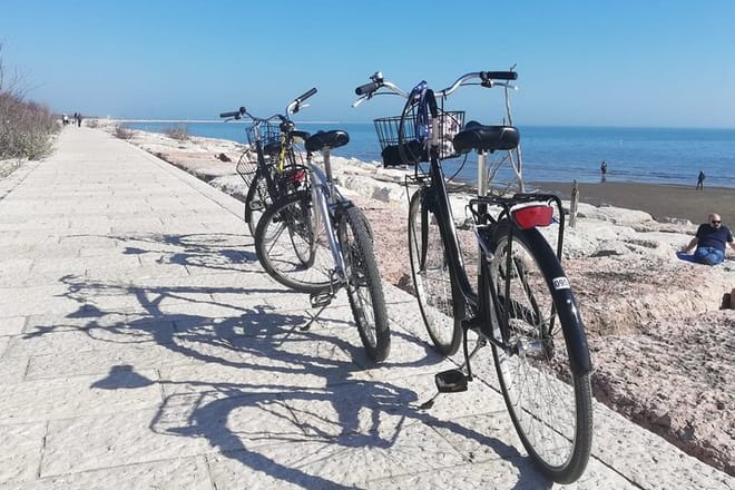 Lido Bike Tour: with a Local on the Island of Cinema 7