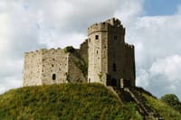 Cardiff Private Walking tour with a Professional Guide 2