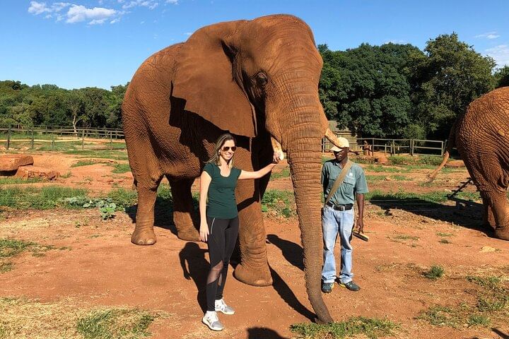Elephant Sanctuary Tour