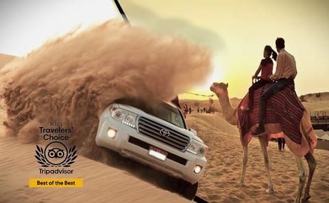 Doha Desert Adventure: Dune Bashing and Camel Riding Tour