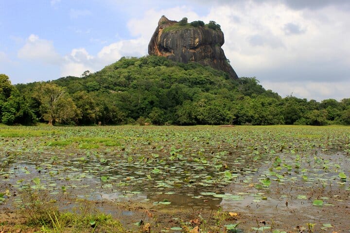 Colombo to Sigiriya Transfer 5