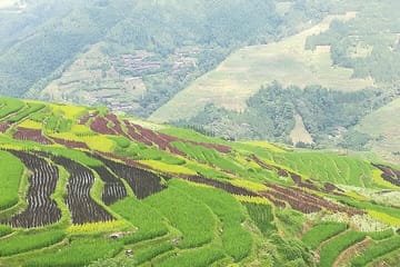 Full-Day Hiking Tour of Longji Rice Terraces in China