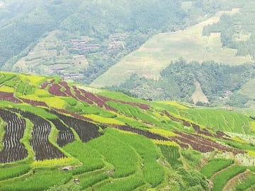Longji Rice Terraces Hiking Tour Full Day Adventure