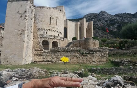 Kruja Castle and Durrës Day Trip with Lunch from Tirana
