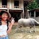 Explore Mai Chau - Pu Luong 3 Days (2 Nights in Mai Chau )
