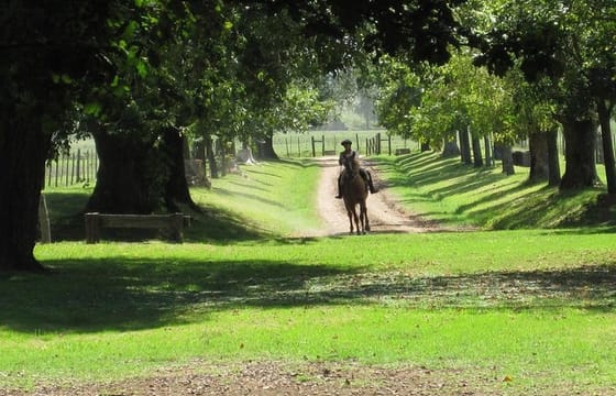 Private Day Tour to an Argentinian Estancia