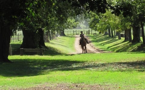 Private Day Tour of Gaucho Culture in San Antonio de Areco