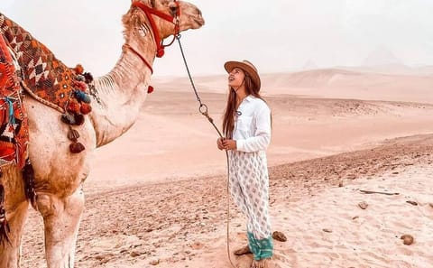 Private Camel Ride and Tour of the Giza Pyramids in Cairo